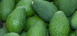 avacados col